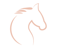 LH—decli—shiatsu-equin—couleur2